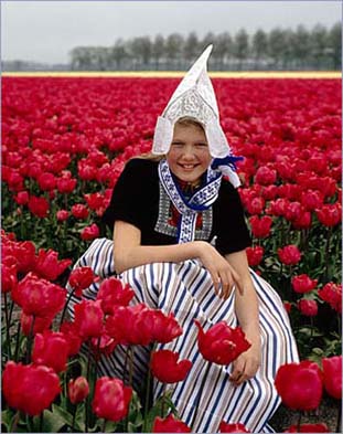 holland-1.jpg