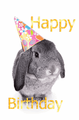 birthday-rabbit.gif